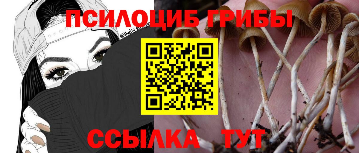 Галлюциногенные грибы GOLDEN TEACHER  Псилоцибиновые грибы Psilocybe  Вход с VPN  Ишим 